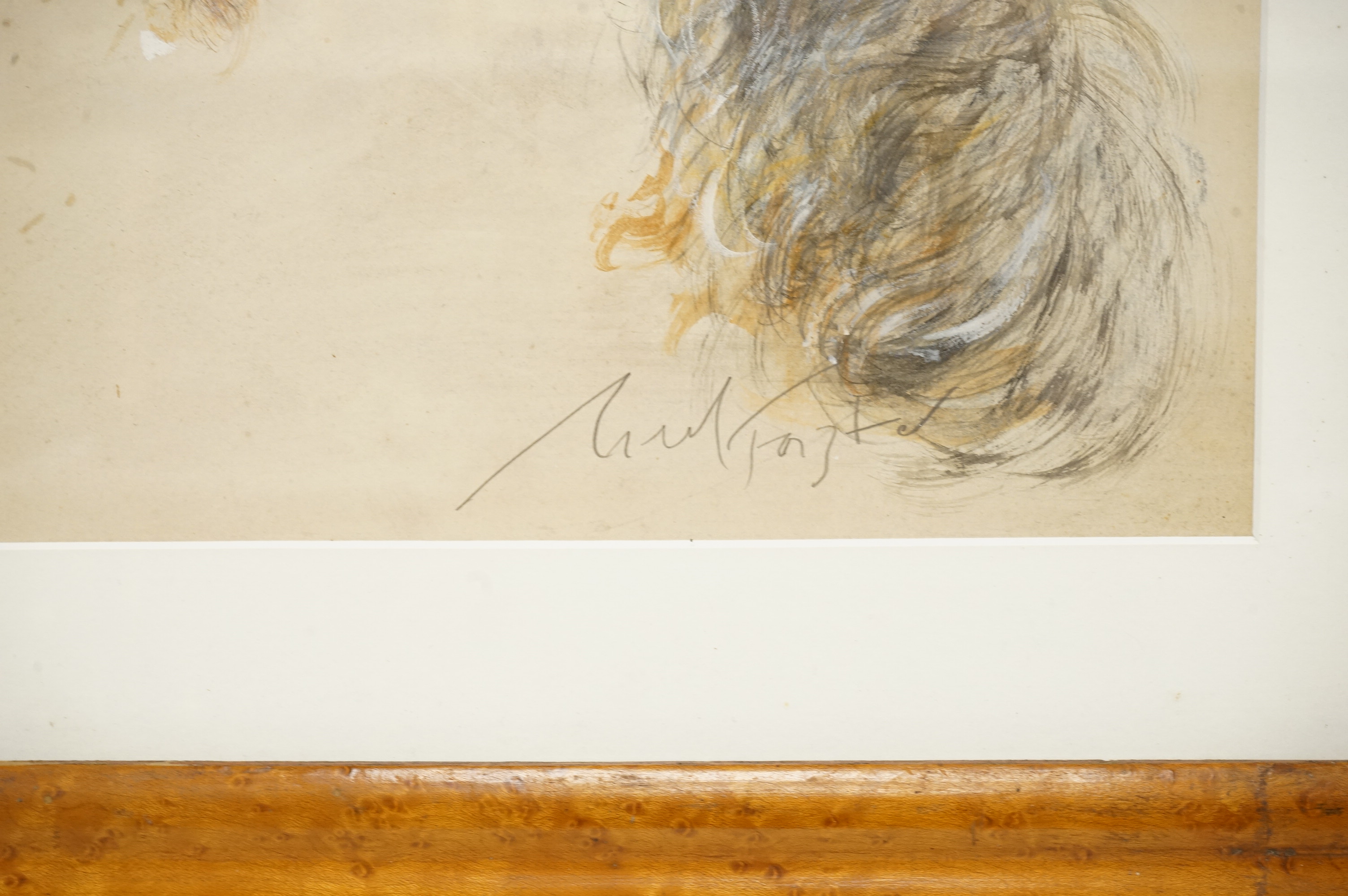 Neil Forster (1939-2016), Study of two Yorkshire terriers, signed, pastel, 27 x 32cm